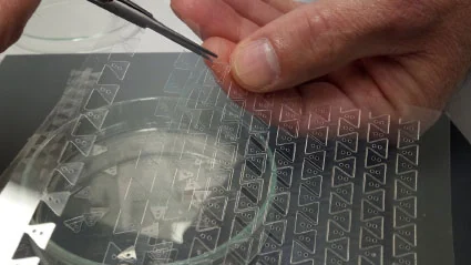 Sheet of holders for mounting myocardial slices